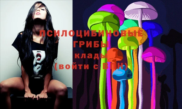 бошки Беломорск