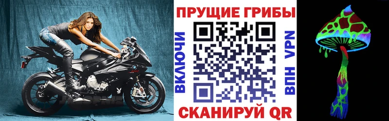 Галлюциногенные грибы Psilocybe  Бирск 